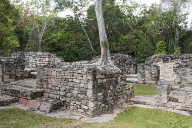Antik Maya şehri Kohunlich 'in kalıntıları, Quintana Roo, Meksika