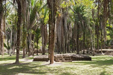 Antik Maya şehri Kohunlich 'in kalıntıları, Quintana Roo, Meksika