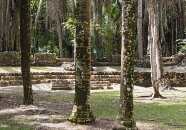 Antik Maya şehri Kohunlich 'in kalıntıları, Quintana Roo, Meksika