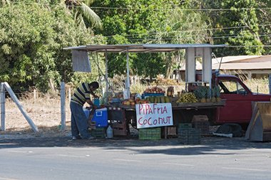 Playa De Coco, Kosta Rika-Mart 09, 2017: ayaktan meyve satıcı Playa del Coco,: Guanacaste, Costa Rica