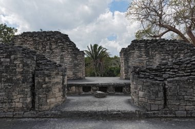 The ruins of the ancient Mayan city of Kohunlich, Quintana Roo, Mexico clipart
