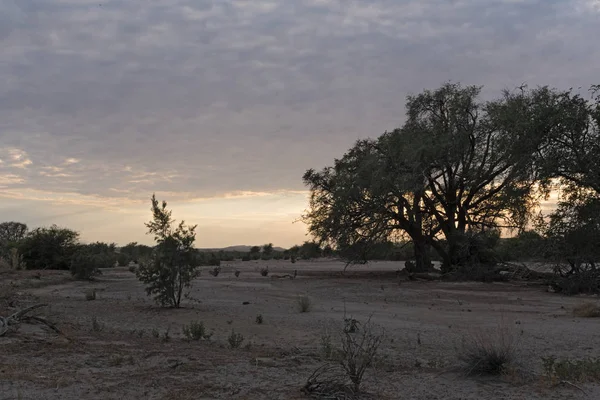 在纳米比亚干燥的斯瓦科普河上日出 — 图库照片