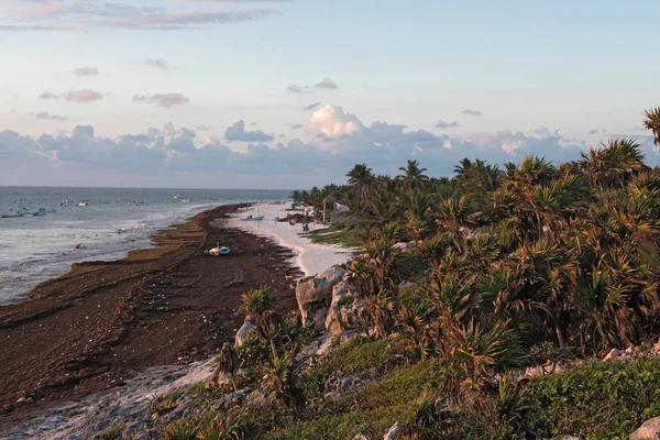 Hermosa Playa Arena Caribeña Cerca Las Ruinas Tulum México — Foto de Stock