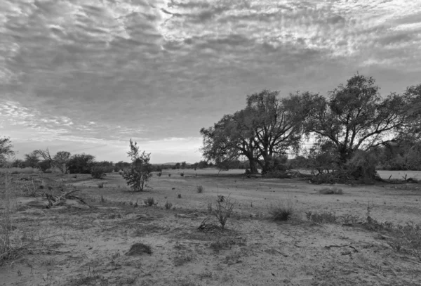 Vyschlé koryto řeky Swakop ráno v černobílé Namibii — Stock fotografie