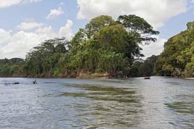 Kosta Rika 'da Fortuna' nın güneyinde nehir manzarası