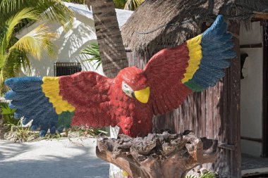 Tulum Mexico sahilindeki bir ağaç gövdesinde papağan modeli.