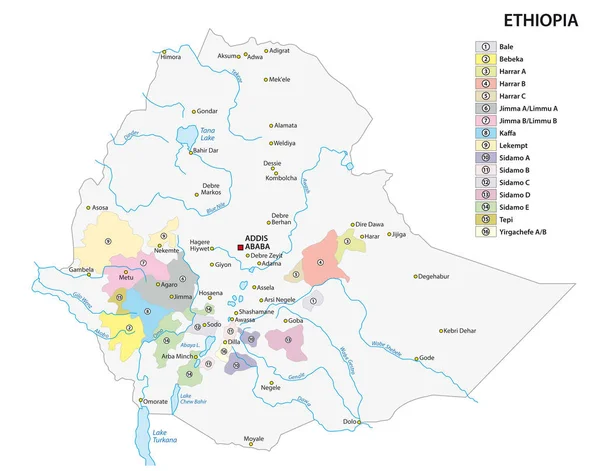 Карта регіонів Ефіопії, де вирощують каву. — стоковий вектор