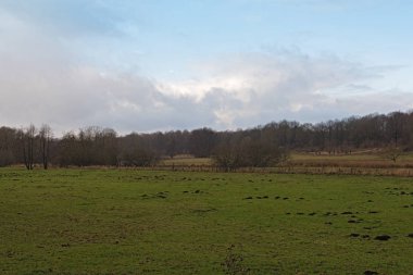 the volksdorfer pond meadows in winter hamburg germany