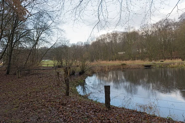 The volksdorfer pond meadows in winter hamburg germany — Stockfoto