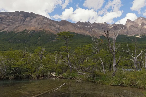 Widok Rzekę Góry Chalten Argentyna — Zdjęcie stockowe