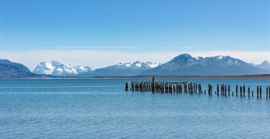 Puerto Natales, Patagonya, Şili yakınlarındaki Ultima Esperanza Fjord 'da kral karabatakları olan eski bir iskele.