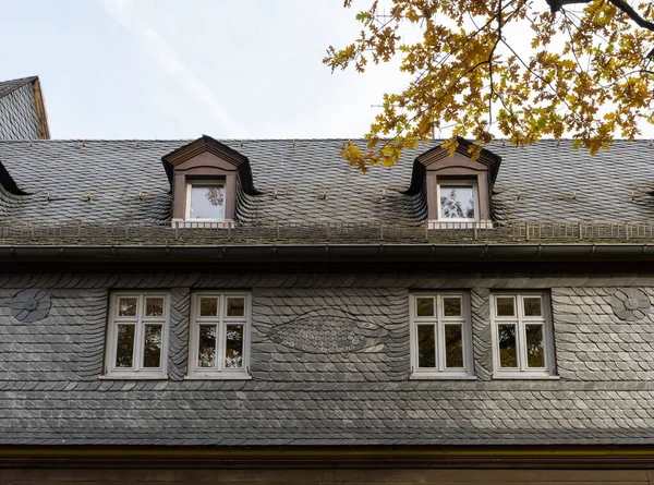 Slate House Roof Carp Ornament Frankfurt Hoechst Germany — Stock Photo, Image