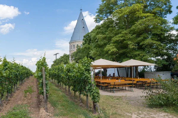 Florsheim Duitsland Juli 2017 Floersheimer Toren Wijngaarden Van Wijk Wicker — Stockfoto