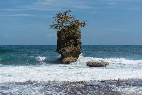 Isola Rocciosa Con Albero Nella Costa Manzanillo Costa Rica — Foto Stock