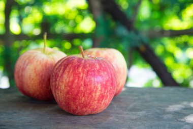 Tahta arka planda olgun kırmızı elmalar