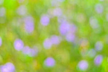 Yeşil arka plan bulanıklık 