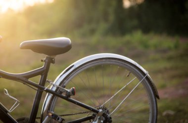 Mevsimlik sektörlerine güneş ışığı ile.