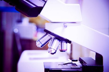 Mikroskop laboratuarı. Bilimsel araştırma geçmişi.