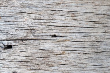 Ağaç kabuğunun doğal arkaplan olarak kullanımı