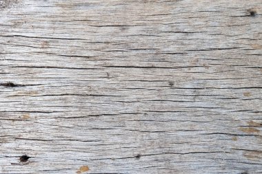 Ağaç kabuğunun doğal arkaplan olarak kullanımı