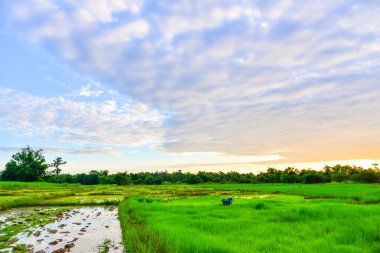 Güzel günbatımı manzara yanan 