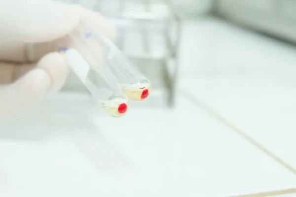 Banco de sangue de laboratório em branco . — Fotografia de Stock