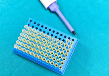 Mikro pipet ucu