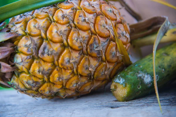 still life rotten fruit