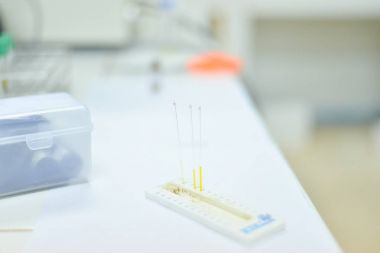 Whitte sesi Labotarory ekipman