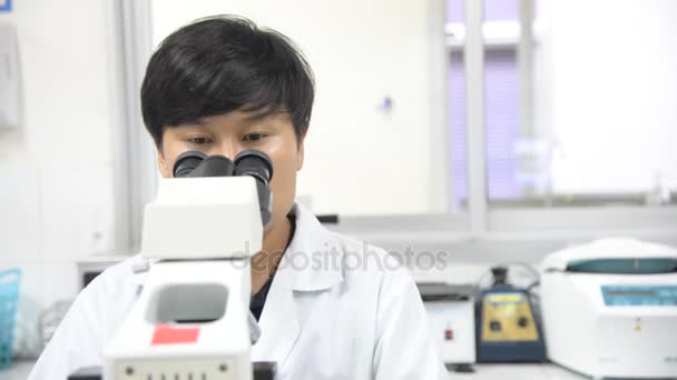 Aproximação do exame da amostra de ensaio ao microscópio em laboratório . — Vídeo de Stock