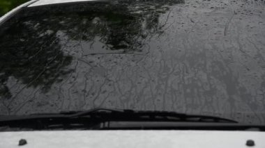 Yeşil doğa ile yağmur