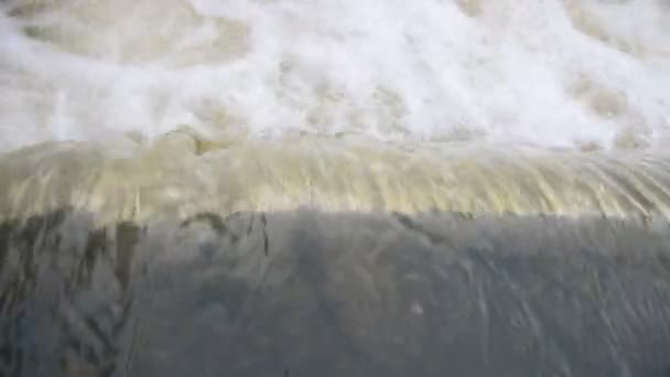 Alluvione acqua in natura — Video Stock