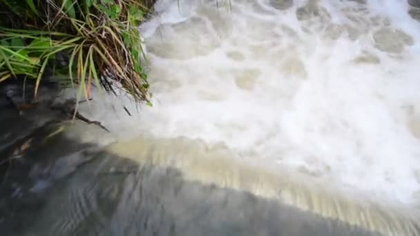 Inundación de agua en la naturaleza — Vídeo de stock