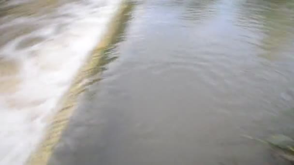 Inundación de agua en la naturaleza — Vídeo de stock