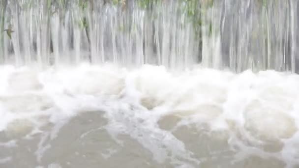 Hochwasser in der Natur — Stockvideo