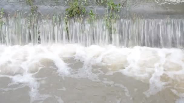 Hochwasser in der Natur — Stockvideo