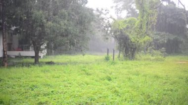 gün su damlası ile peyzaj üzerinde yağmur.