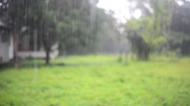 Día de lluvia con gota de agua en el paisaje . — Vídeo de stock