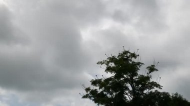 Beyaz bulutların üzerinde mavi gökyüzü çalışan 