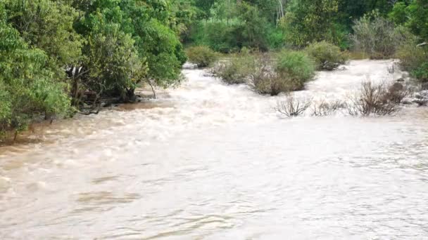 Översvämningar i thailand — Stockvideo