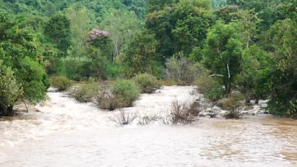 Overstromingen in thailand — Stockvideo