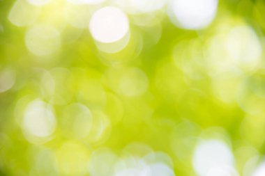 Yeşil bokeh arka plan.