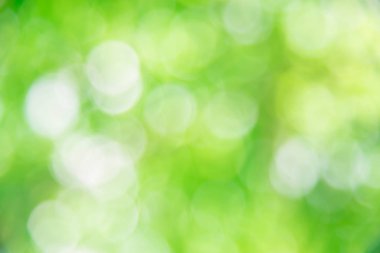 Arka plan bulanık bokeh doku