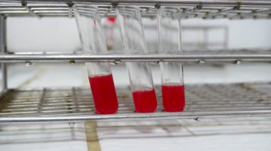 Kan deneme kan grubunda konsept testleri kapatın.