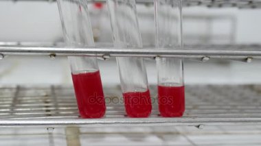 Kan deneme kan grubunda konsept testleri kapatın.