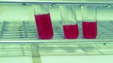 Kan deneme kan grubunda konsept testleri kapatın.