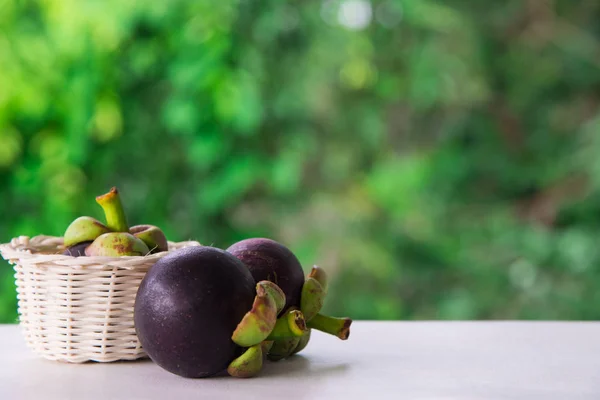 Mangosteen fruit queen of fruit — Stock Photo, Image