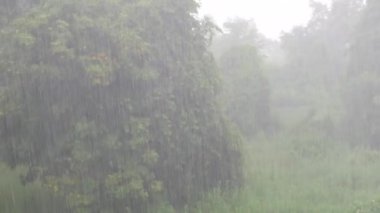 Gün yağmur yakın çekim