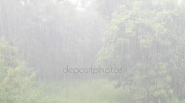 Gün yağmur yakın çekim