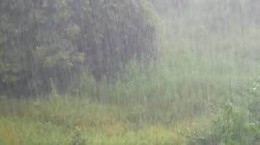 Gün yağmur yakın çekim